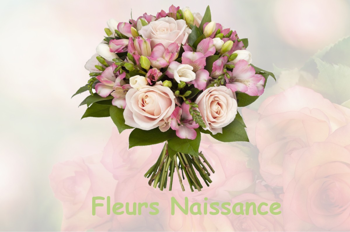 fleurs naissance BERTEAUCOURT-LES-THENNES