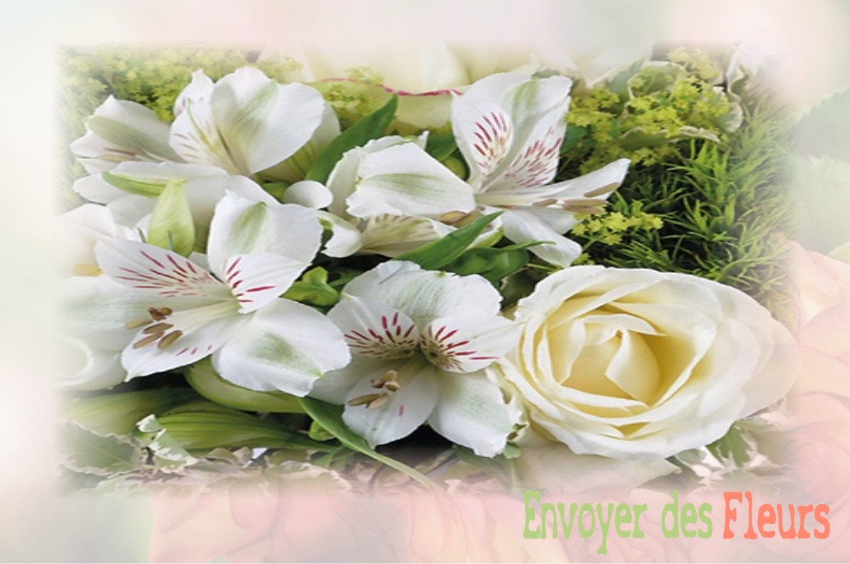 envoyer des fleurs à à BERTEAUCOURT-LES-THENNES